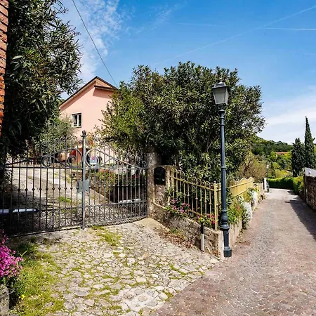 Il Sentiero Di Arqua